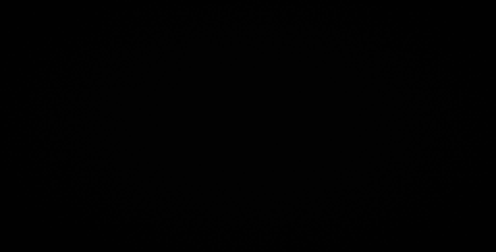 cover of property Vide Noir - Petit